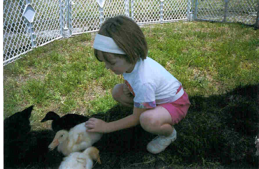 virginiapettingzoo2.jpg